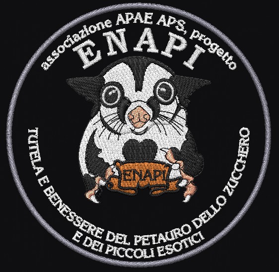 Icona file di ricamo Patch ricamato ENAPI diametro cm.10
