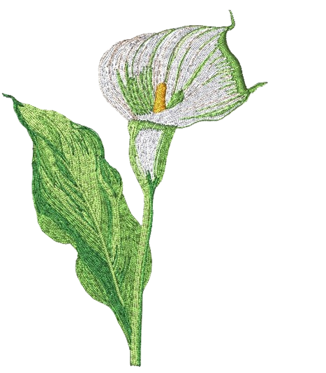 Icona file ricamo calla con sfumature su altezza cm.10