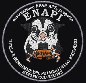 Icona file di ricamo Patch ricamato ENAPI diametro cm.10