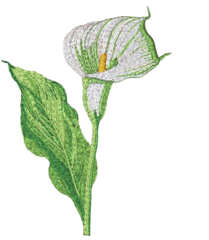Icona file ricamo calla con sfumature su altezza cm.10